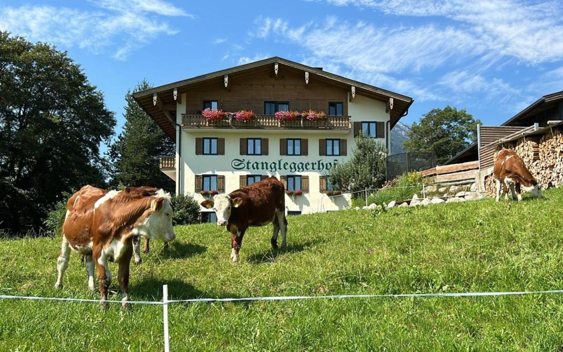 Villa Stangleggerhof Wiesing Exterior foto